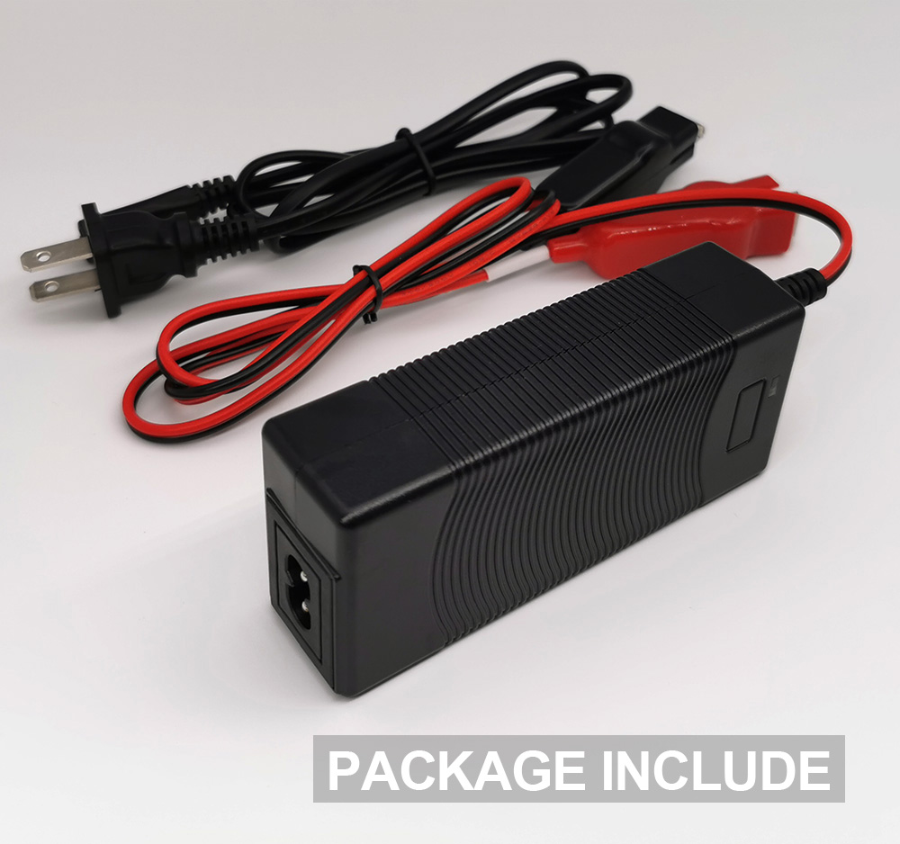 AC DC 12V 3A Charger Page